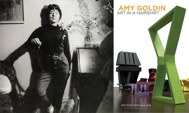 Amy Goldin Art in a Hairshirt Art Criticism 1964-1978